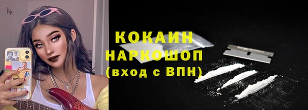 гидропоника Гусев