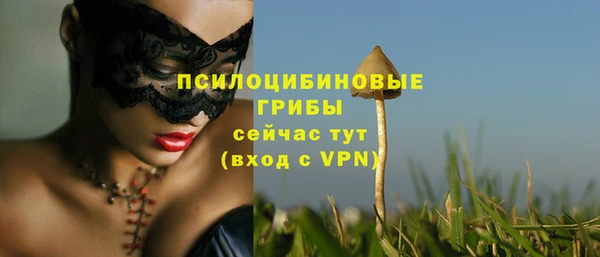 мескалин Горнозаводск