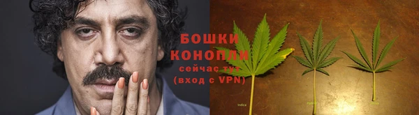 дурь Гусь-Хрустальный