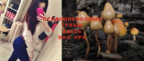 твердый Гусиноозёрск