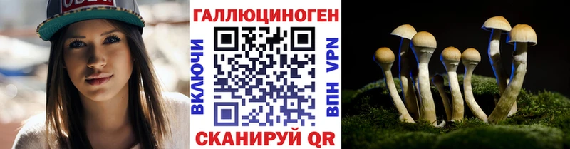 цена   гидра зеркало  Галлюциногенные грибы Magic Shrooms  Осинники 