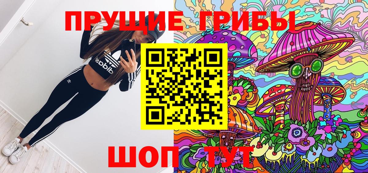 Галлюциногенные грибы мицелий  Галлюциногенные грибы Psilocybine cubensis  где купить   Вход с VPN  Осинники 