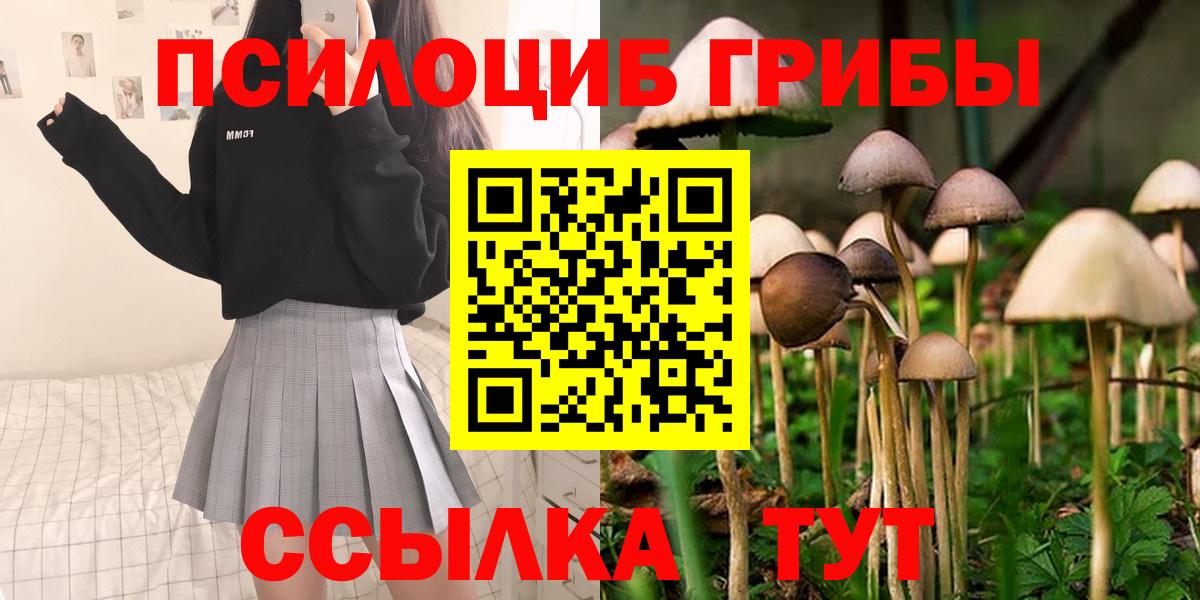 Галлюциногенные грибы мицелий Осинники